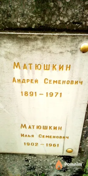 Матюшкин Илья Семенович