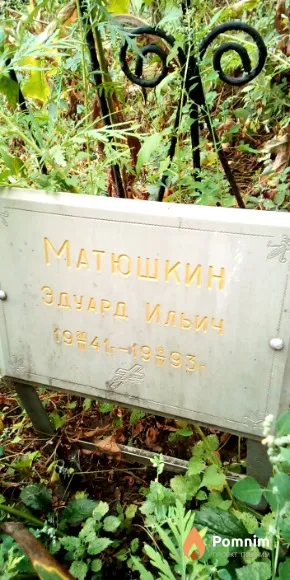 Матюшкин Эдуард Ильич