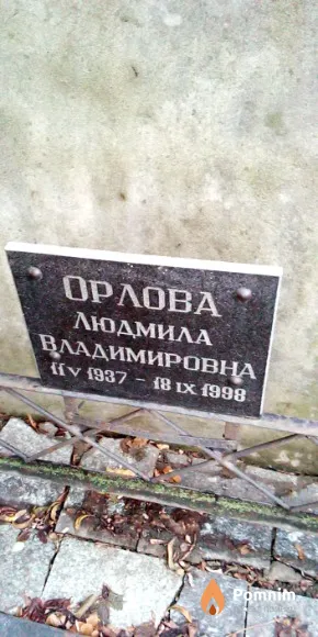 Тест Тест