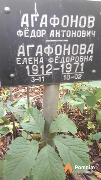 Агафонов Фёдор Антонович