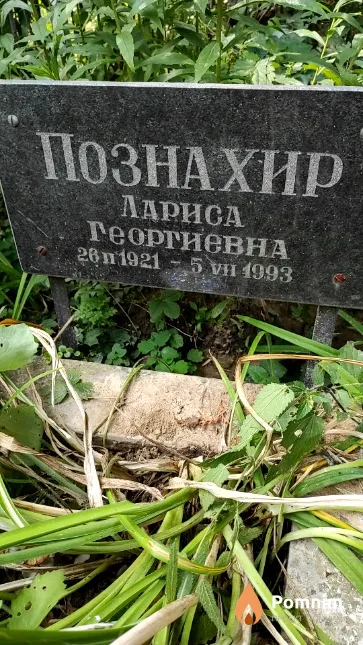 Познахир Лариса Георгиевна