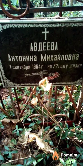 Авдеева Антонина Михайловна