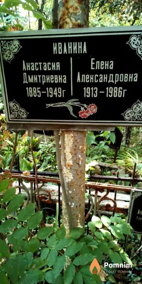 Иванина Елена Александровна