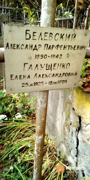 Галущенко Елена Александровна