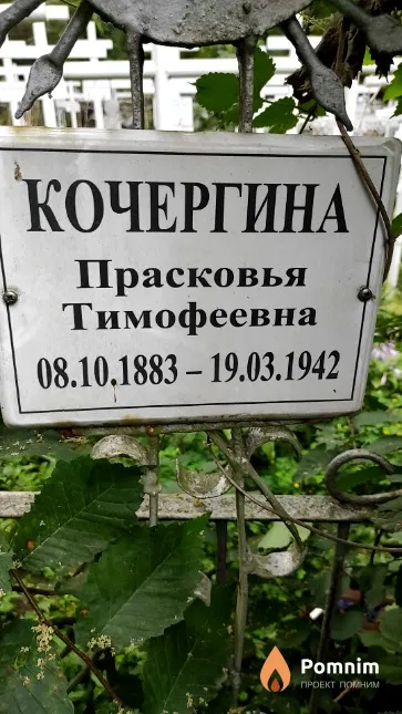 Кочергина Прасковья Тимофеевна