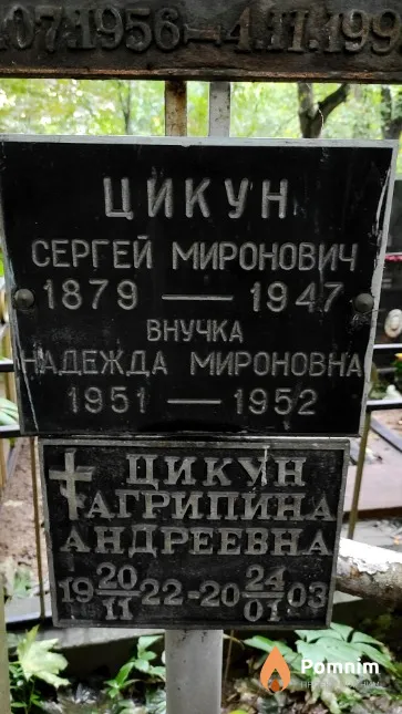 Цикун Надежда Мироновна