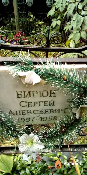 Бирюк Сергей Алексеевич
