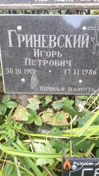 Гриневский Игорь Петрович