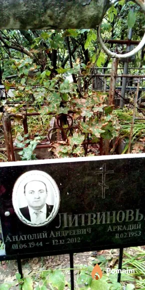 Литвинов Анатолий Андреевич