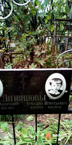 Литвинов Аркадий Игнатьевич