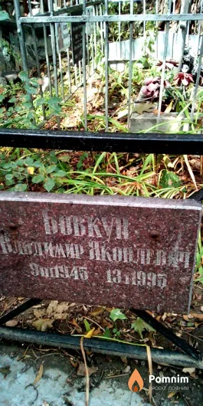 Бовкун Владимир Яковлевич