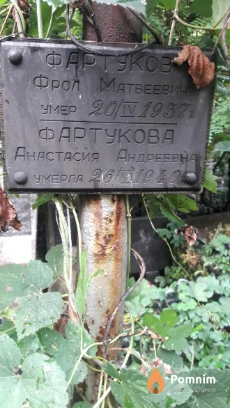 Фартукова Анастасия Андреевна