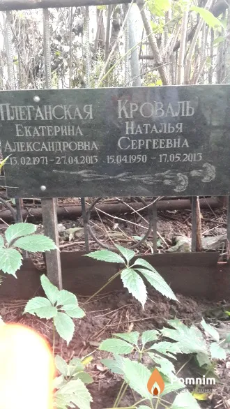 Плеганская Екатерина Александровна