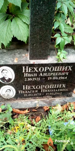 Нехороших Пелагея Николаевна
