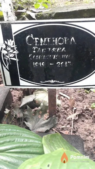 Семенова Татьяна .