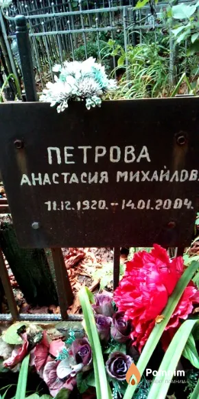 Петрова Анастасия Михайловна