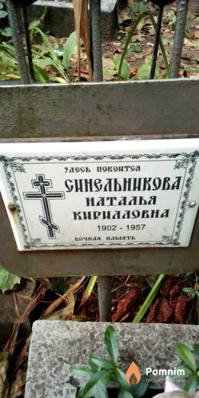 Синельникова Наталья Кирилловна