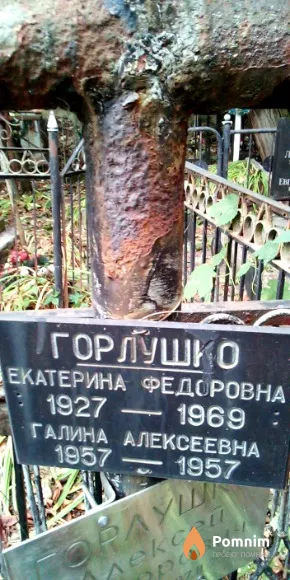 Горлушко Екатерина Федоровна