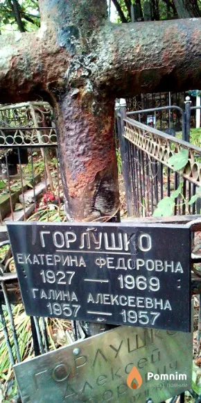 Горлушко Галина Алексеевна