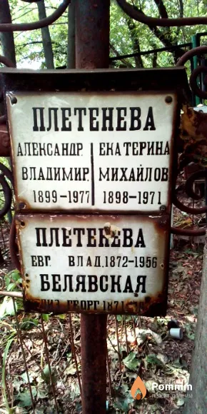 Плетенева Александра Владимировна