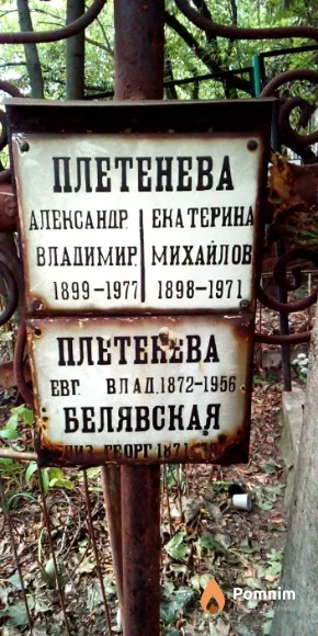 Плетенева Екатерина Михайловна