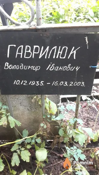 Гаврилюк Володимир Іванович