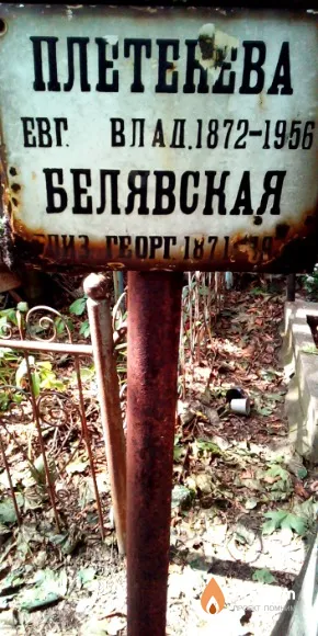Плетенева Евгения Владимировна