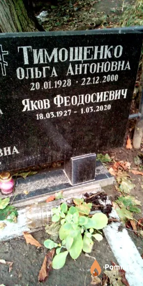 Тимошенко Яков Феодосиевич