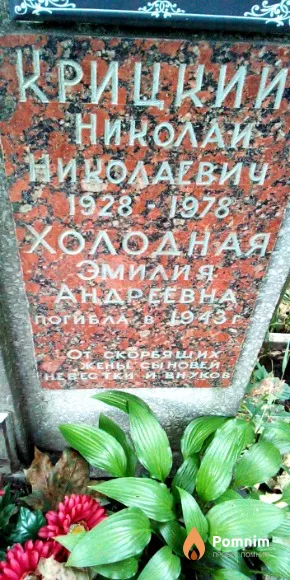 Крицкий Николай Николаевич