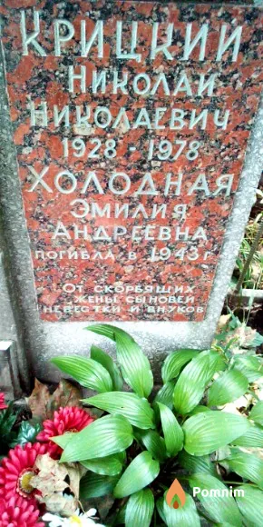 Холодная Эмилия Андреевна