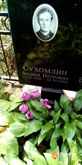 Сухомлин Андрей Петрович