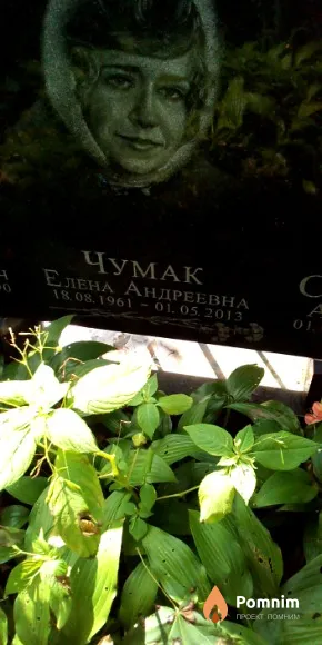 Чумак Елена Андреевна