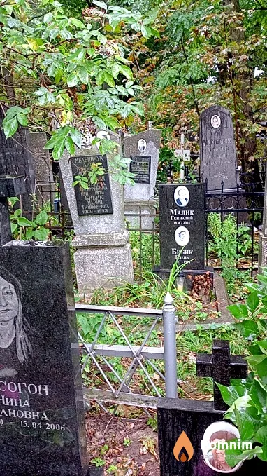 Бибик Елена