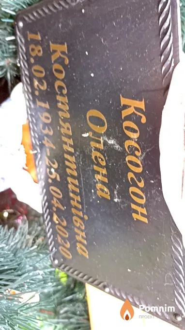 Косогон Олена Костянтинівна