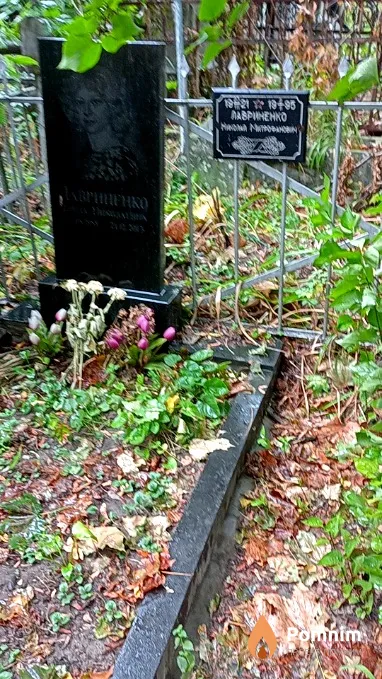 Лавриненко Николай Митрофанович