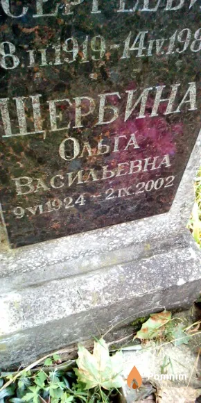 Щербина Ольга Васильевна