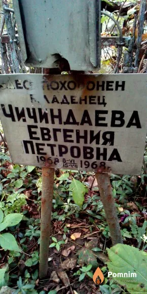 Чичиндаева Евгения Петровна
