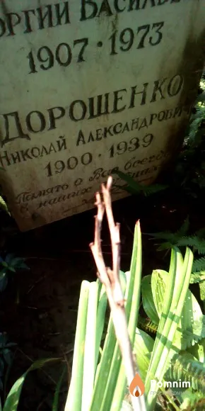 Дорошенко Николай Александрович