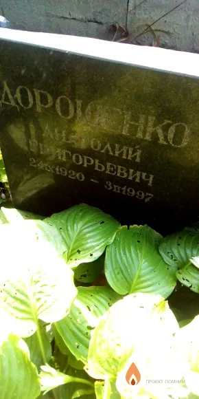 Дорошенко Анатолий Григорьевич