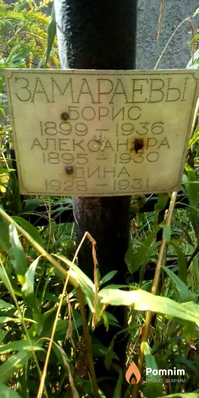 Замараева Александра