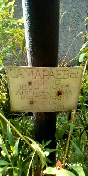 Замараева Дина