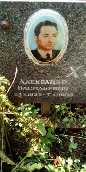 Хоцинский Александр Васильевич