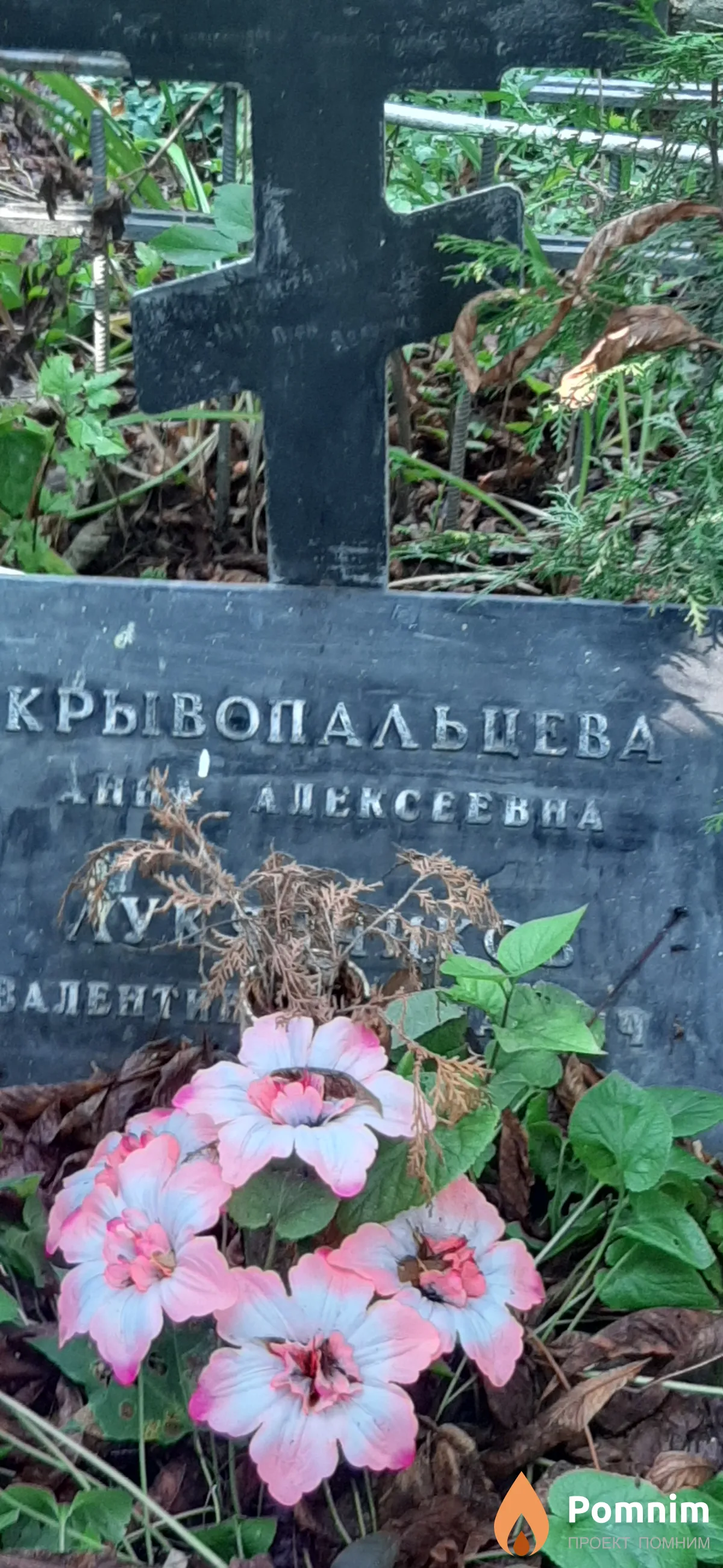 Крывопальцева Анна Алексеевна