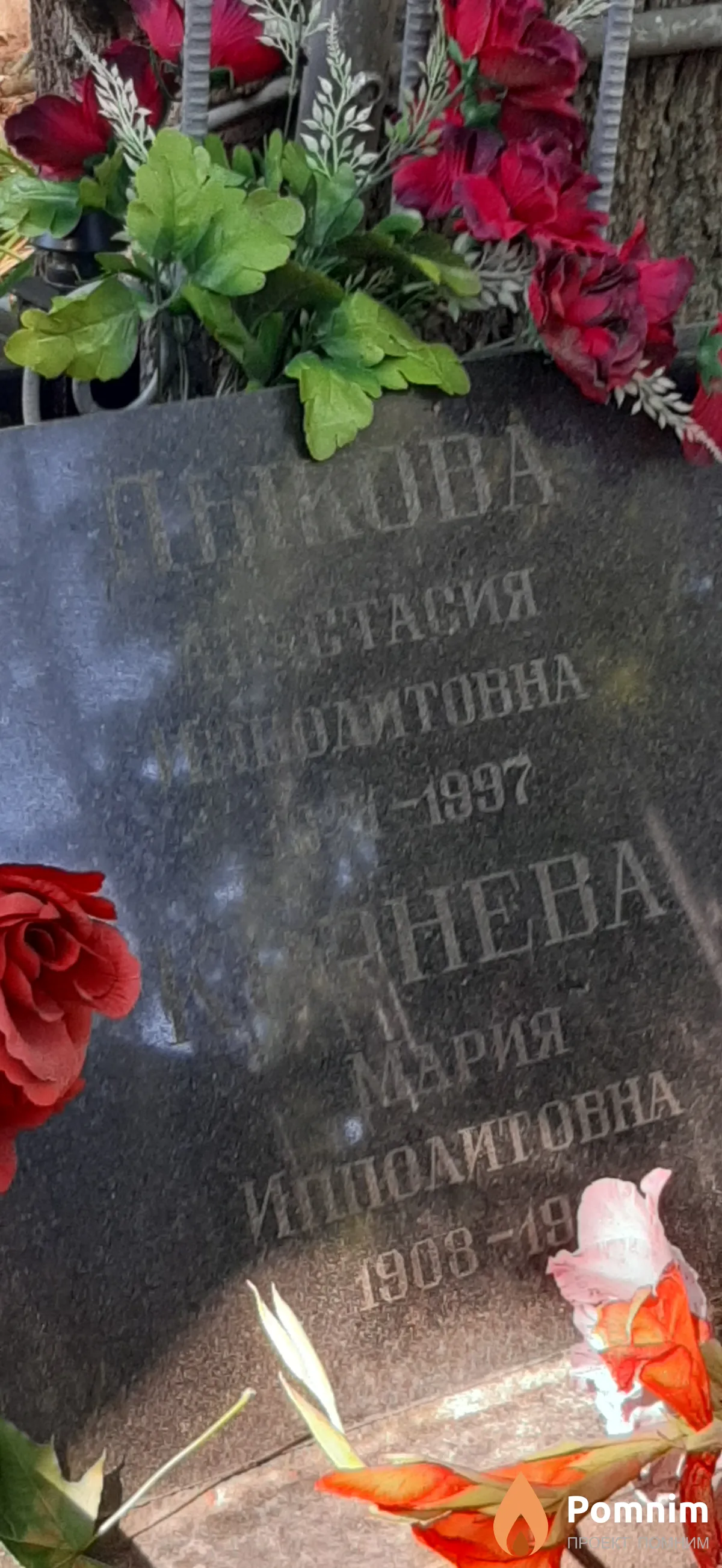 Дыкова Анастасия Ипполитовна