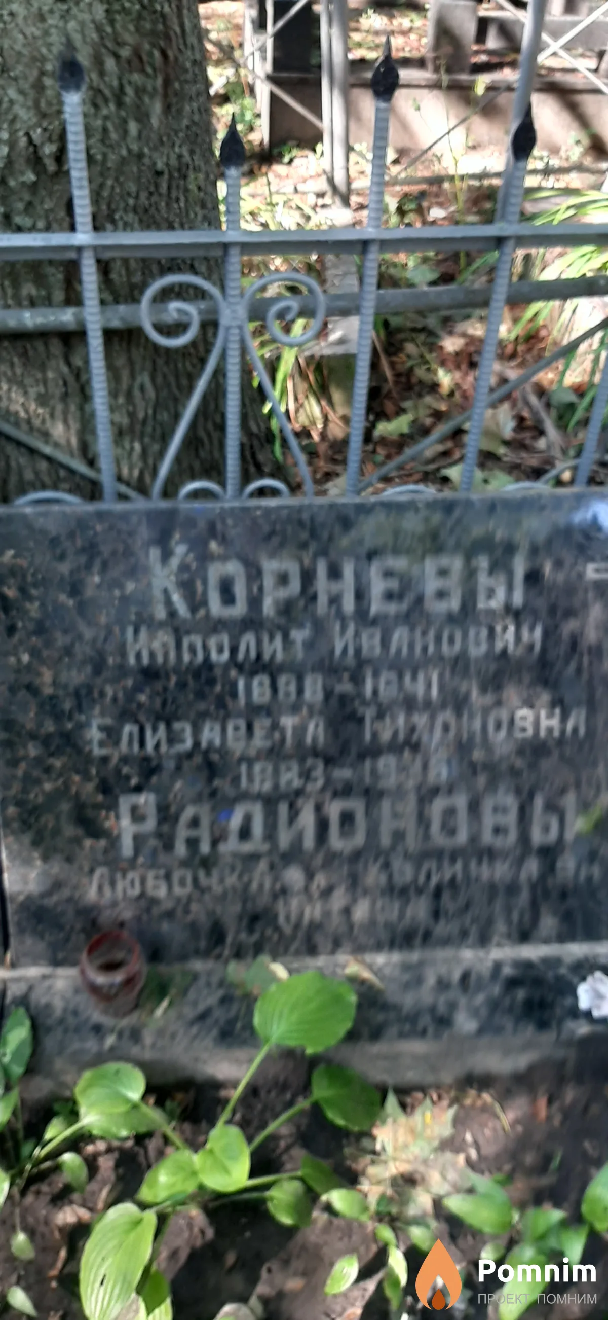 Корнева Елизавета Тихоновна