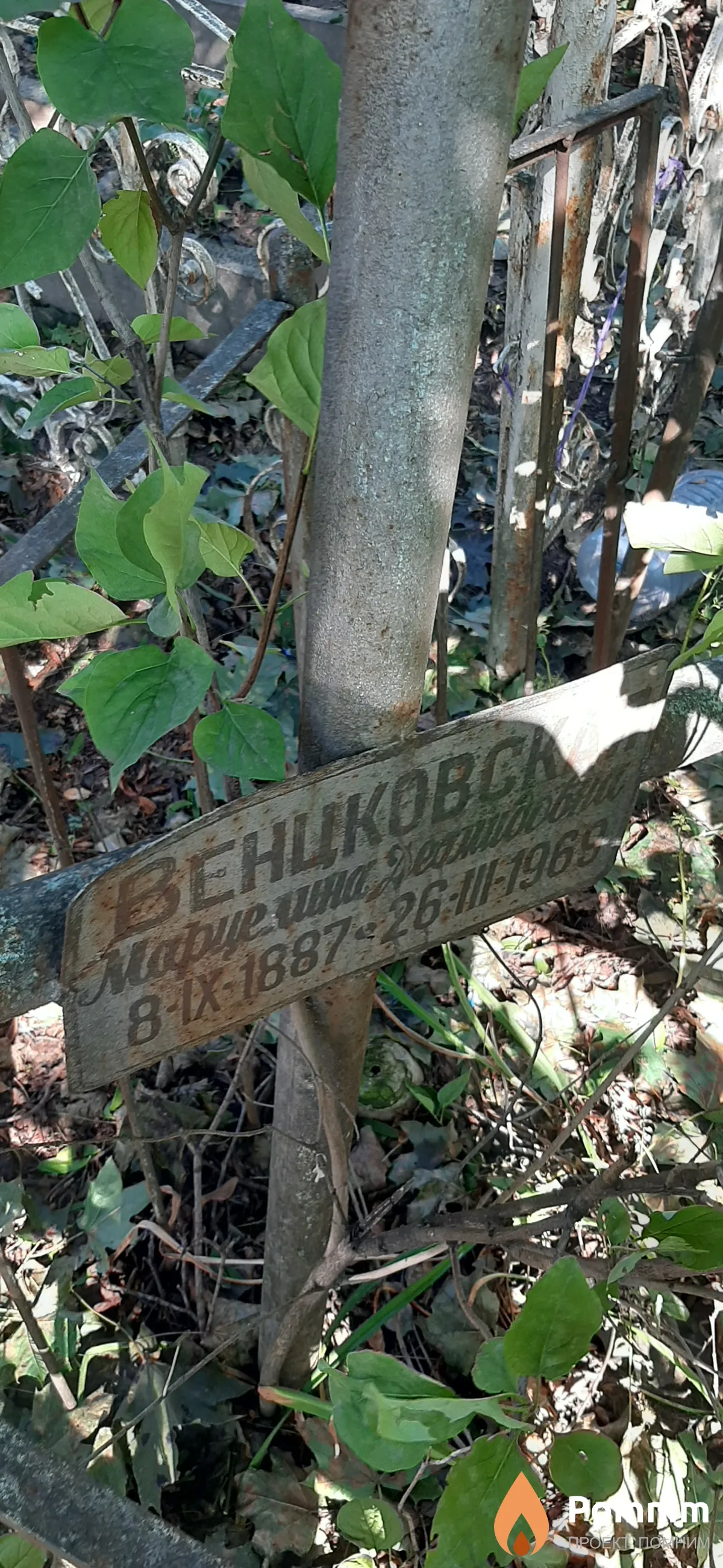 Венцковская Марфцелина Деамидовна
