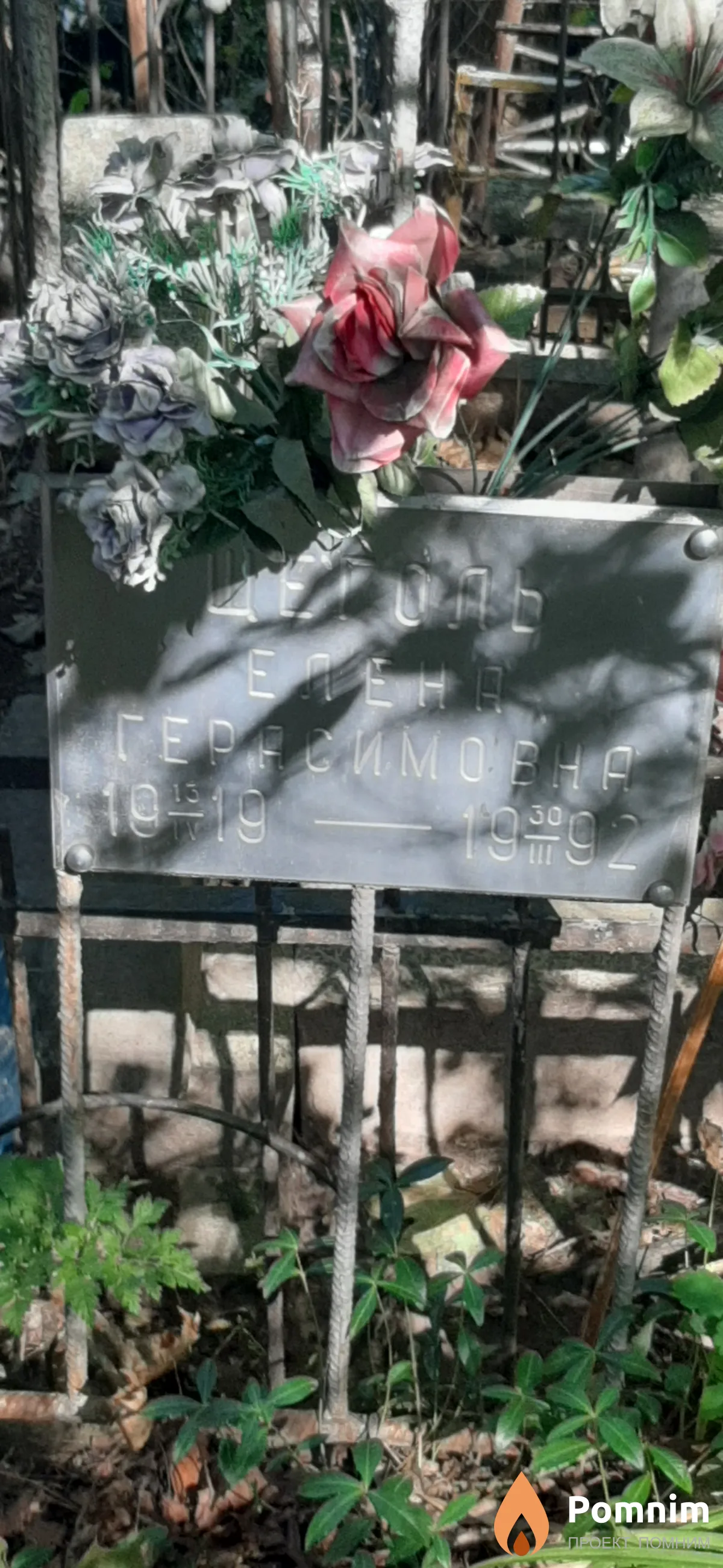 Щеголь Елена Герасимовна