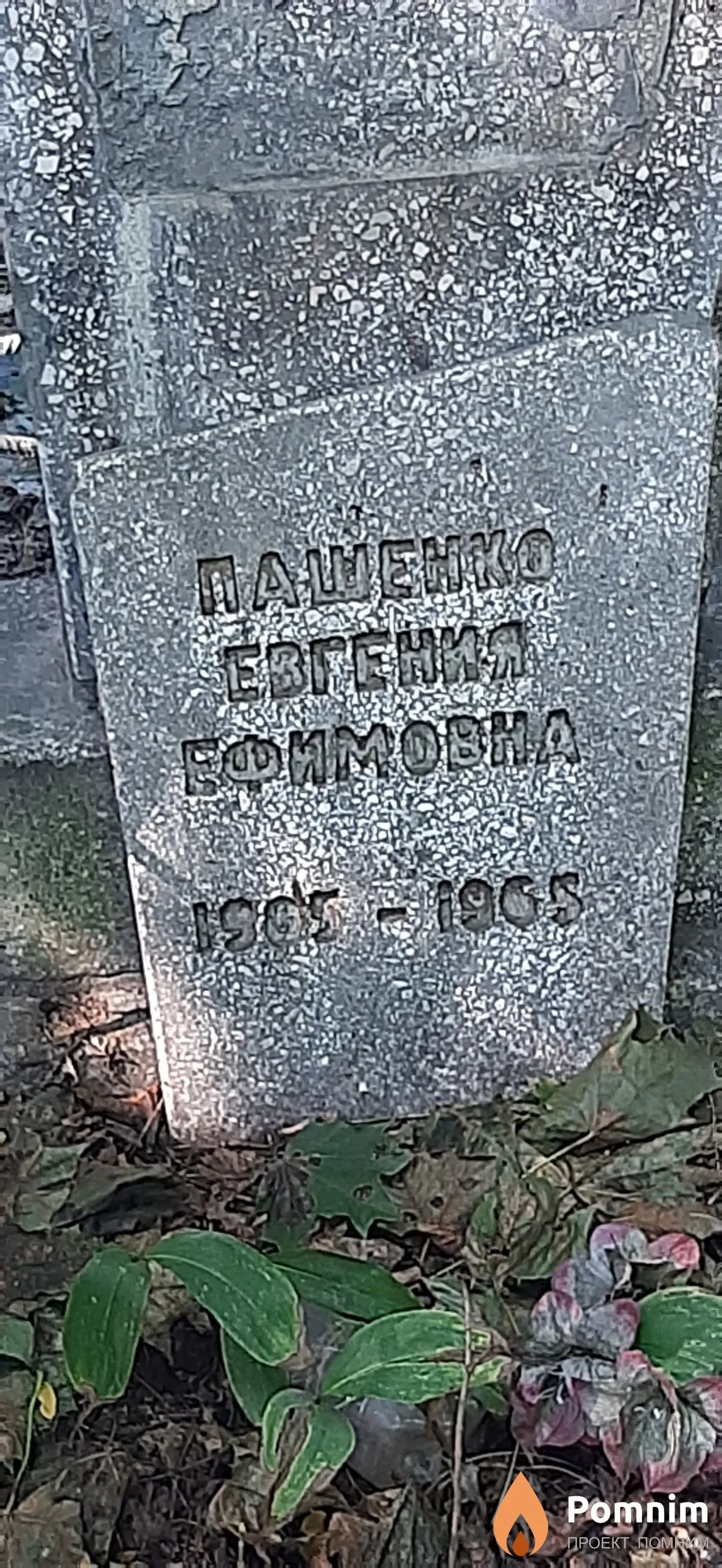 Пащенко Евгения Ефимовна