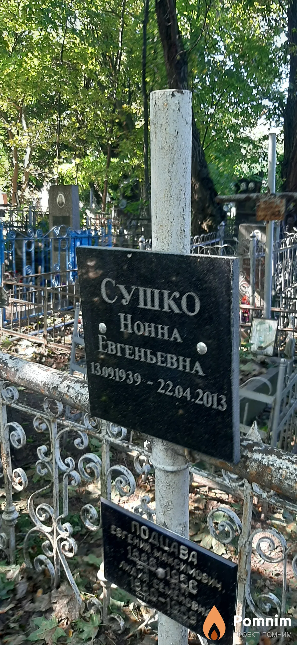 Сушко Нонна Евгеньевна