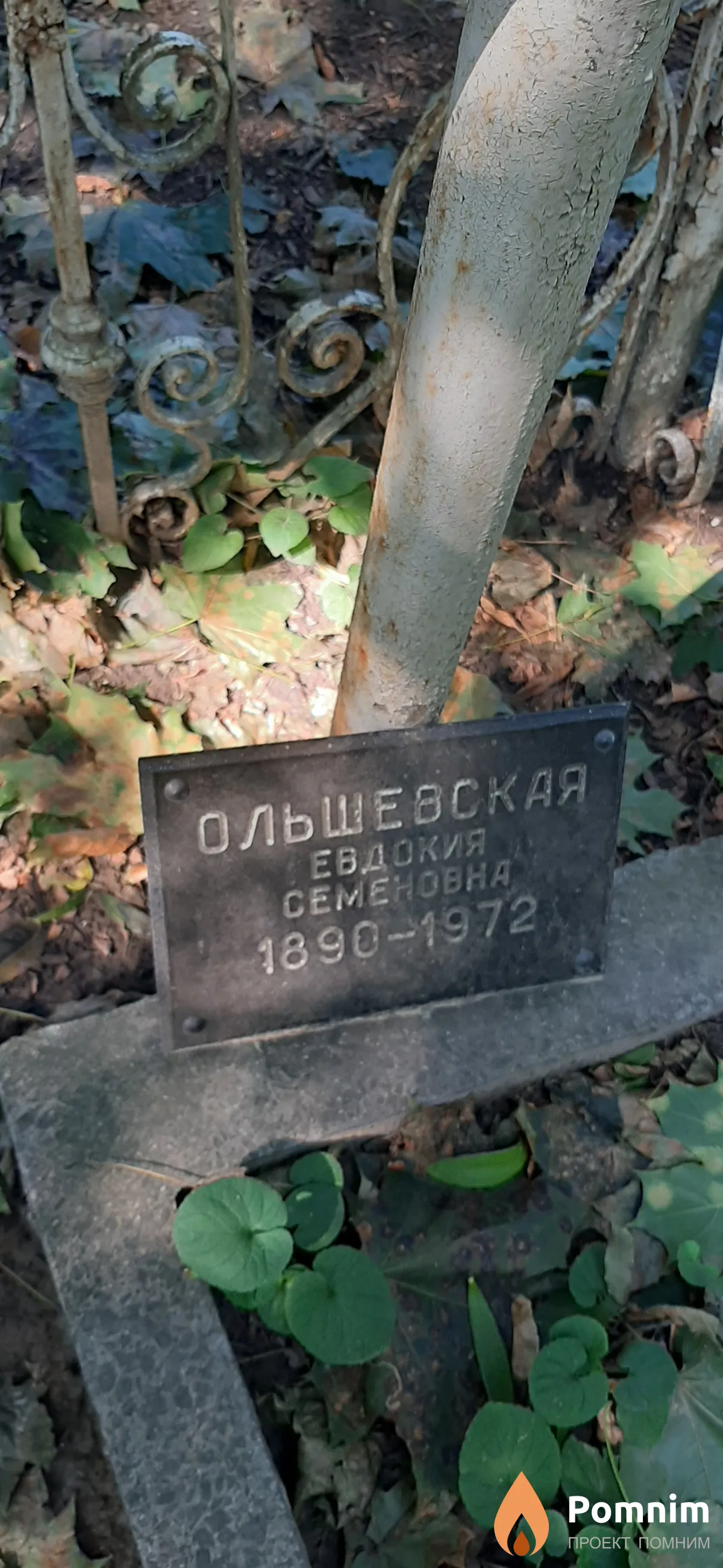 Ольшевская Евдокия Семеновна